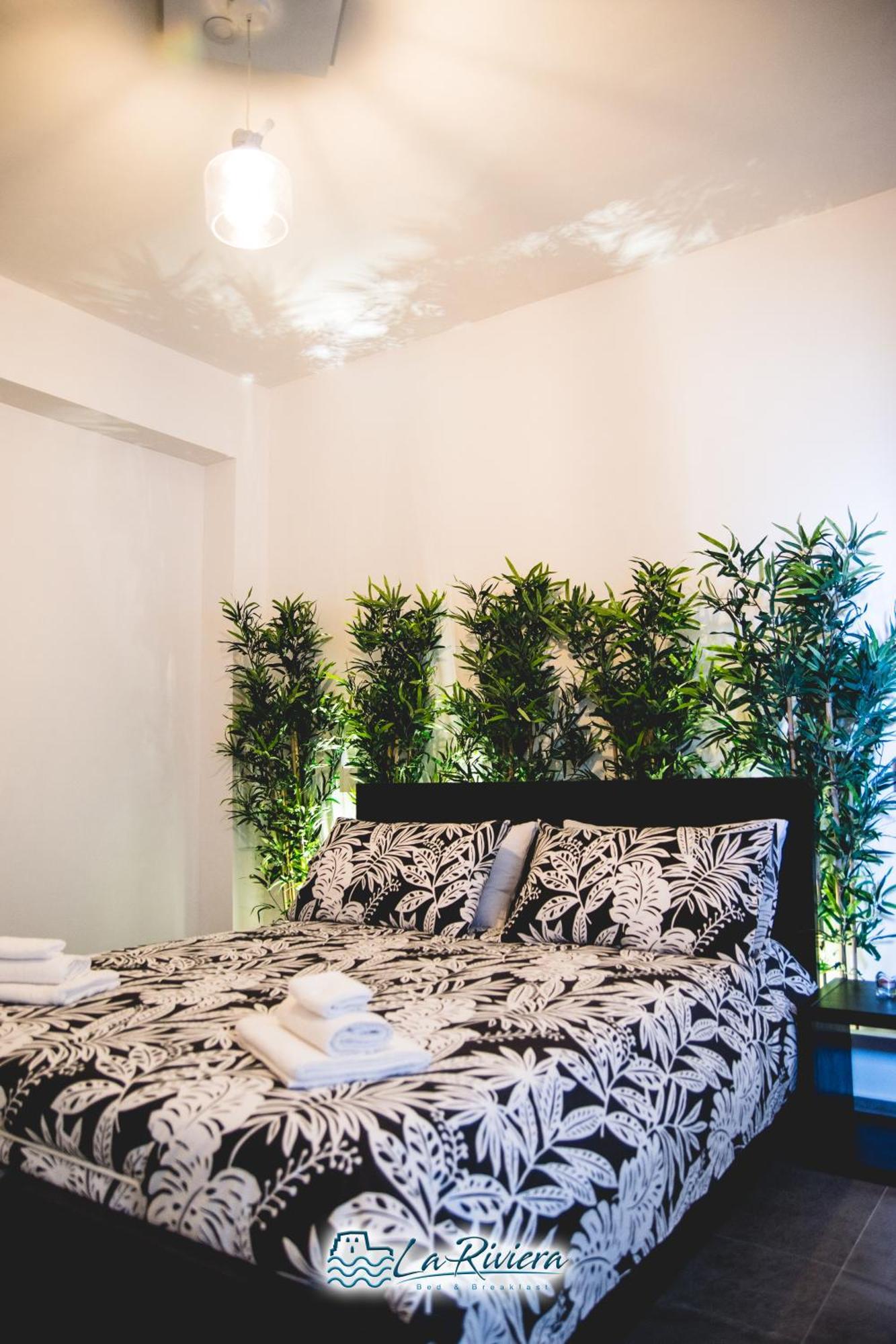 Bed and Breakfast La Riviera Scalea Zewnętrze zdjęcie